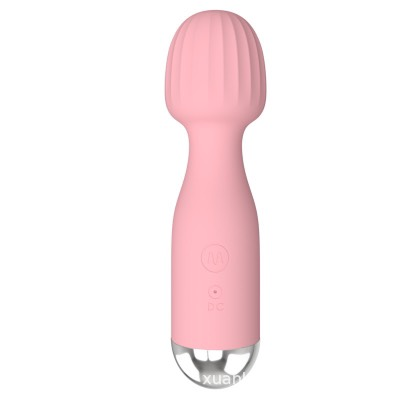 Ava Small – Ισχυρός Σιλικονούμενος Wand Massager - Ροζ, Επαναφορτιζόμενος